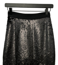 Load image into Gallery viewer, Banana Republic Skirt